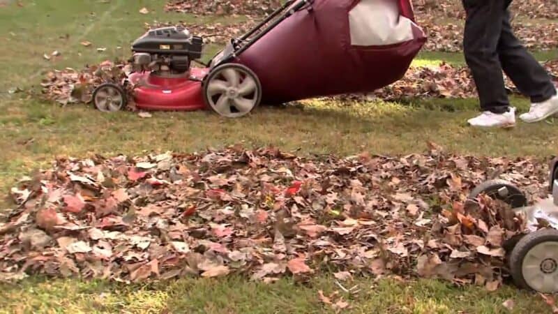 How to Keep Leaves from Blowing Out of the Mower Deck