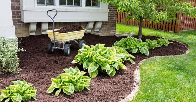 How To Keep Grass Out Of Mulch When Mowing