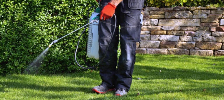 Should You Cut Weeds Before Spraying Them? A Guide