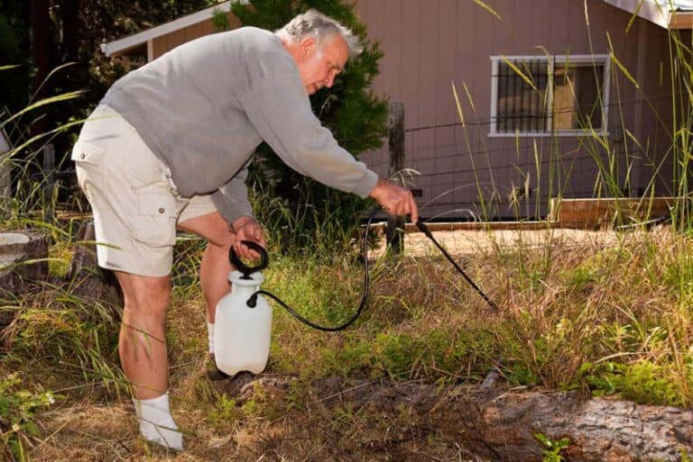 Is it Safe to Use Atrazine On Your Lawn?