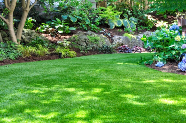 Lush Lawn