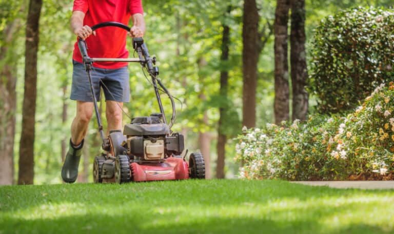 walk behind mower