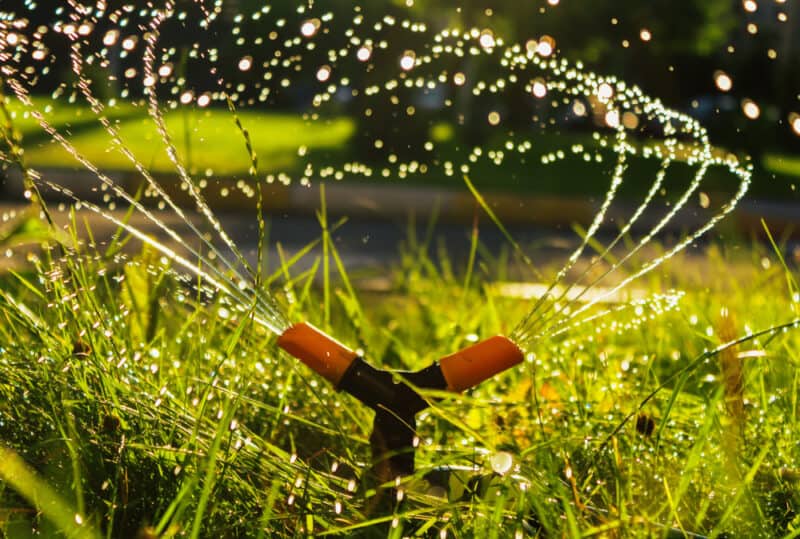 Watering Lawn