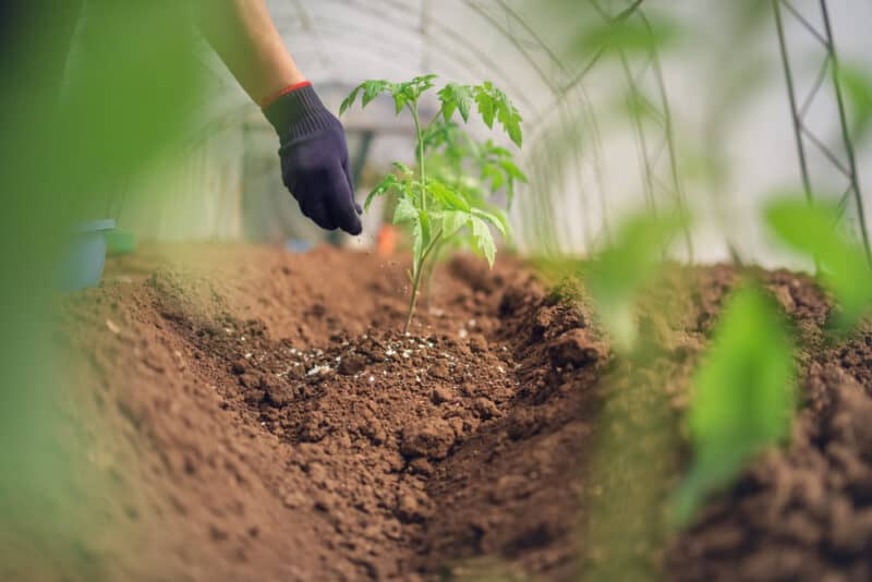 Fertilizer