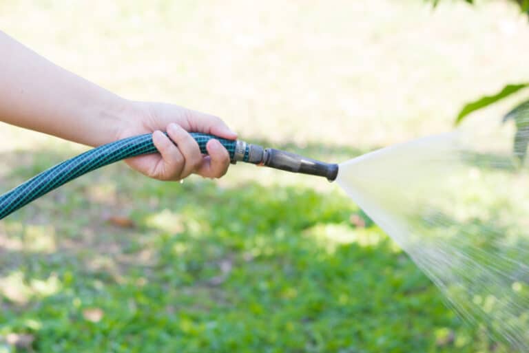 Watering lawn